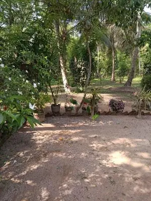 240 perch Land For Sale Minuwangoda Gampaha