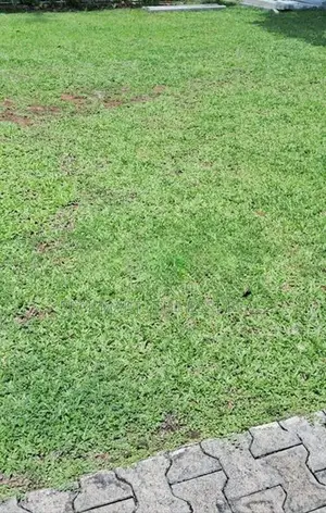 Kandana : 11.5 Perches Highly Residential Land for Sale in Bollatha