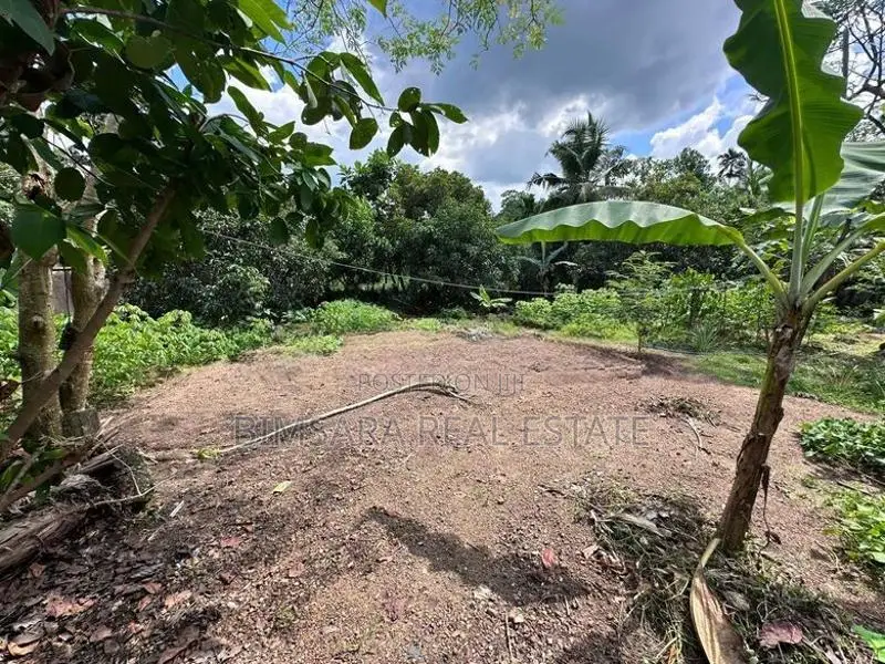 62P Bare Land for Sale in Koratota, Kaduwela (SL 14595)