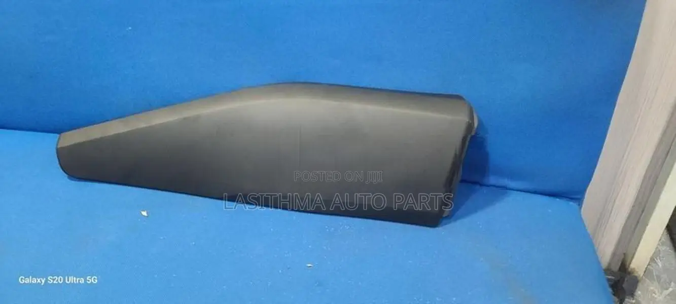 CHR Rear Door Molding