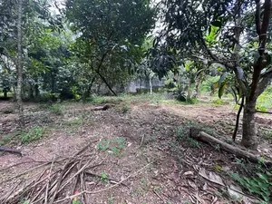 62P Bare Land for Sale in Koratota, Kaduwela (SL 14595)
