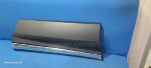CRV Rear Door Molding