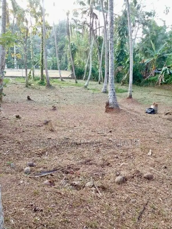 40 P Bare Land for Sale in Duwatemple Road, Kalutara South (sl 14603)