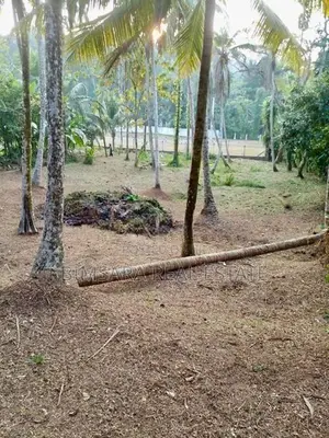40 P Bare Land for Sale in Duwatemple Road, Kalutara South (sl 14603)