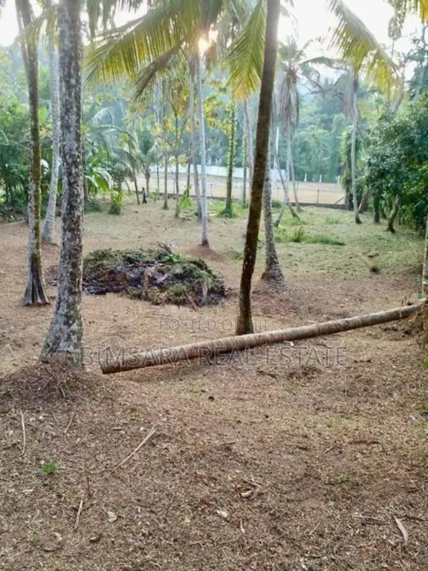 40 P Bare Land for Sale in Duwatemple Road, Kalutara South (sl 14603)