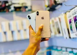 Apple iPhone XS 256GB (Used)