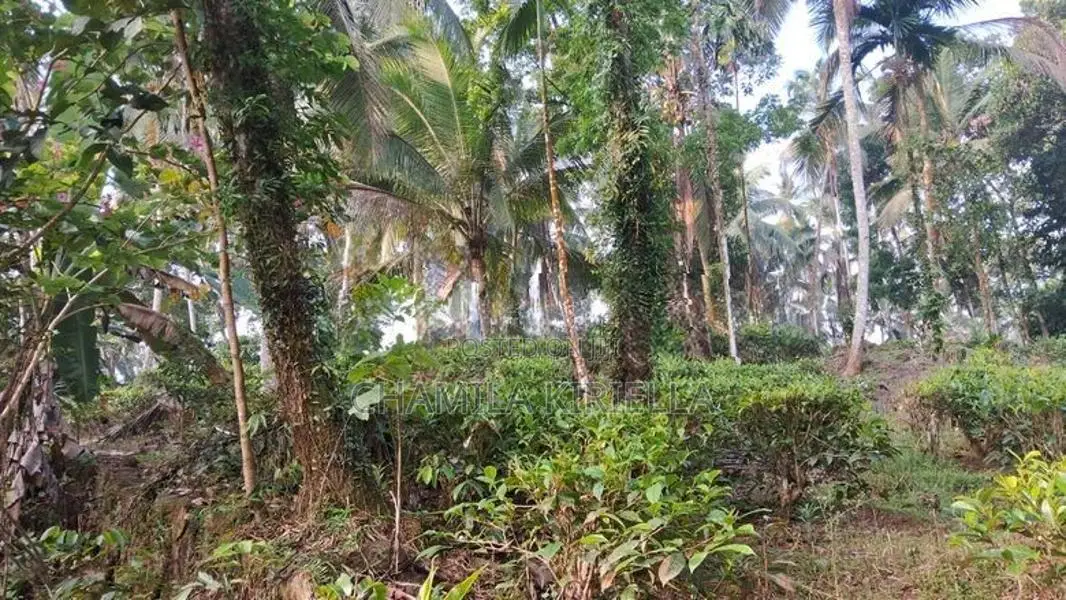 House with land for sale Rathnapura