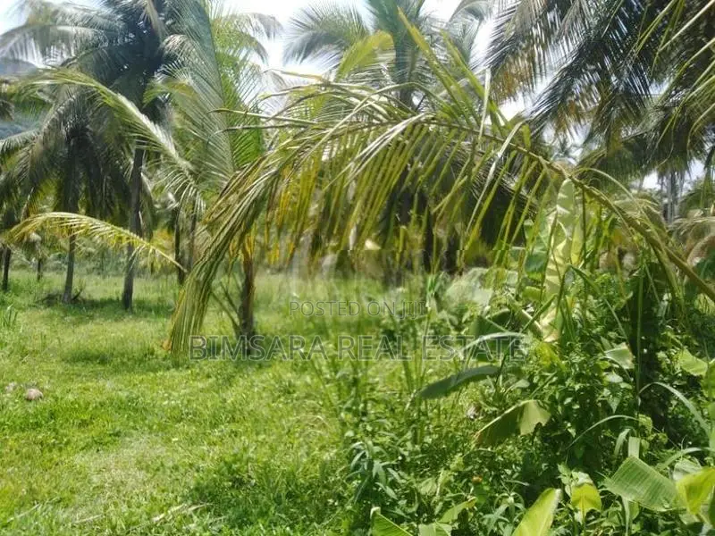 645P Land for Sale in Minhetiya, Baddegama, Kurunegala (SL 14615)