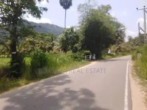 1167.5P Land for Sale in Minhetiya, Baddegama, Kurunegala (SL 14616)