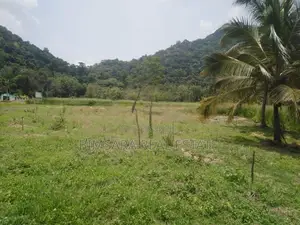 522.5P Land for Sale in Minhetiya, Baddegama, Kurunegala (SL 14614)