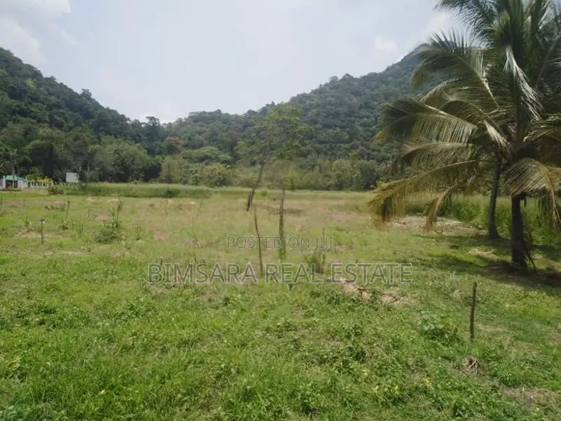 1167.5P Land for Sale in Minhetiya, Baddegama, Kurunegala (SL 14616)
