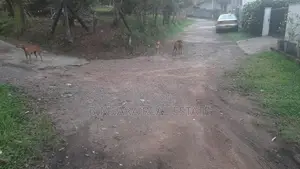 8P Land for Sale in Malabe | SL 14613