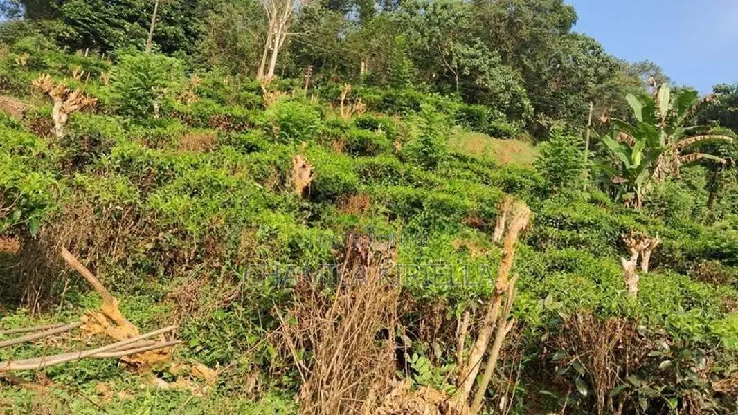 House with land for sale Rathnapura