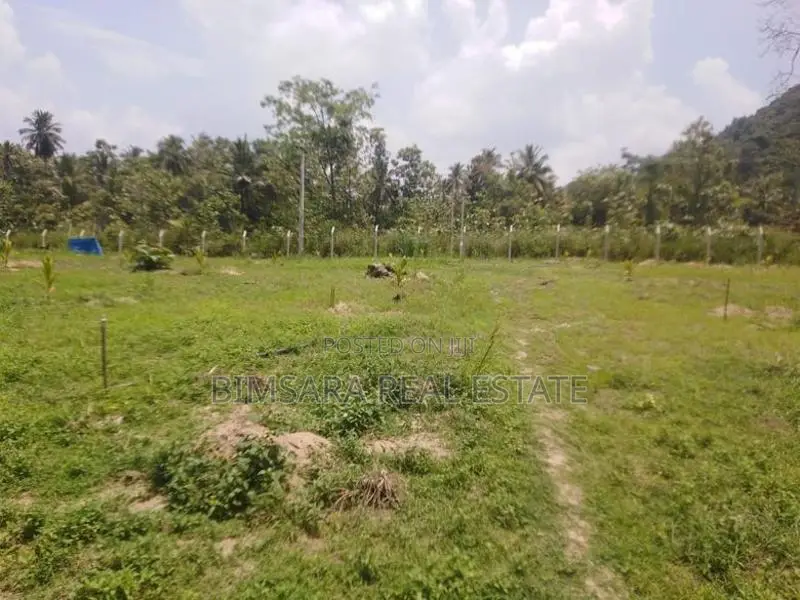 1167.5P Land for Sale in Minhetiya, Baddegama, Kurunegala (SL 14616)