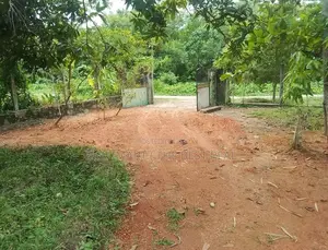 Nittambuwa 4BR (54.56P) House for Sale in Udammita