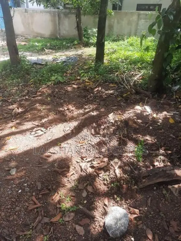 Land For Sale In Boralesgamuwa
