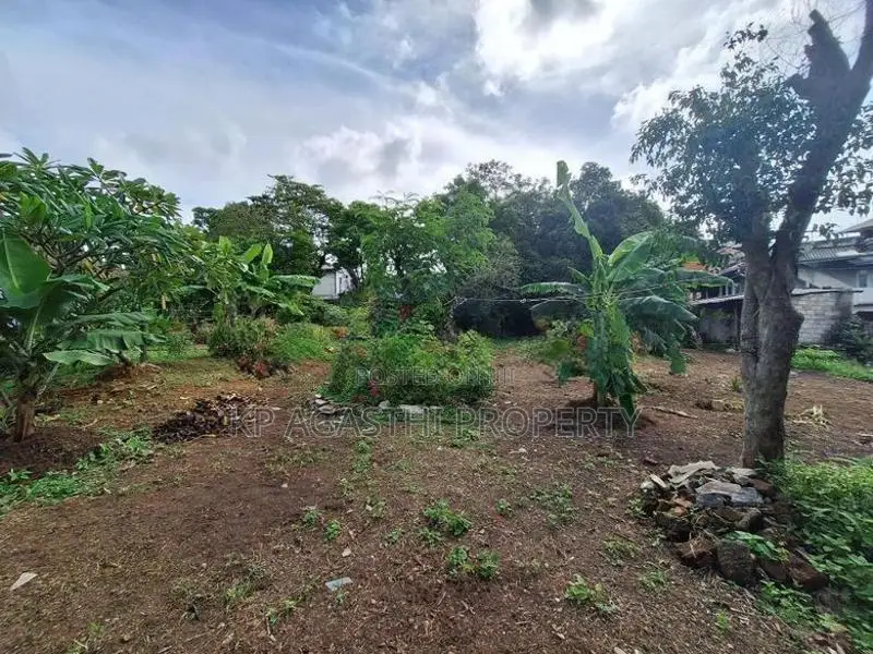 40/20 Super Land for Sale in Nugegoda Haert