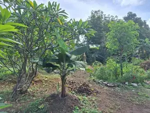40/20 Super Land for Sale in Nugegoda Haert