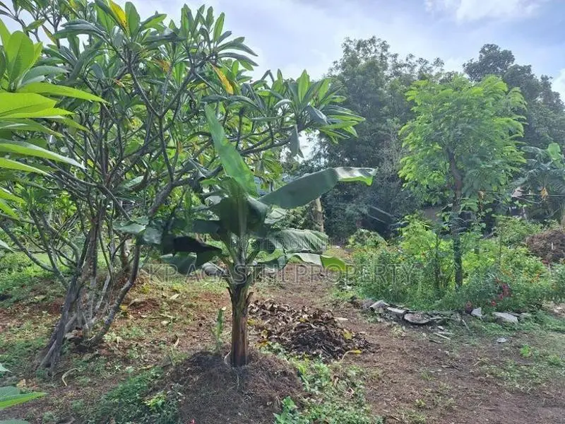 40/20 Super Land for Sale in Nugegoda Haert