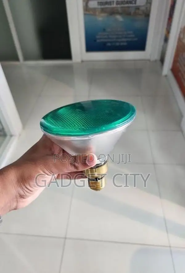 Ranlux Halogen Lamp - Green 120W