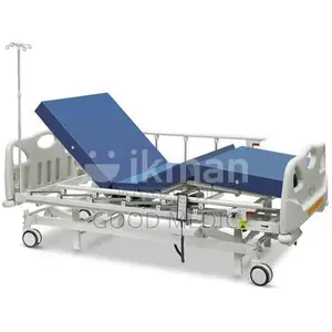 Four Function Electric Hospital Bed