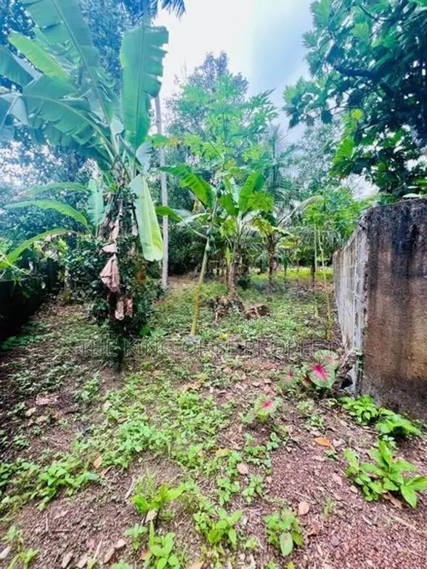 Land for sale in Kesbewa ( Polgasowita)