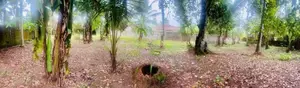 Land for sale in Kesbewa ( Polgasowita)