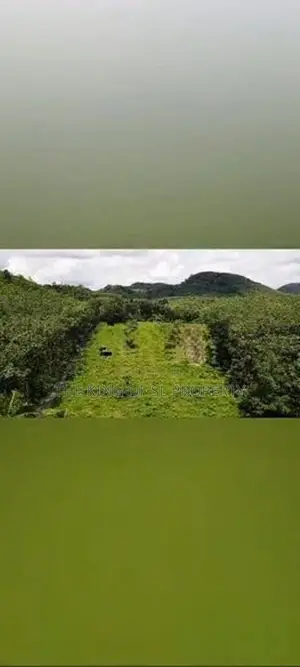 Land for sale in Horana