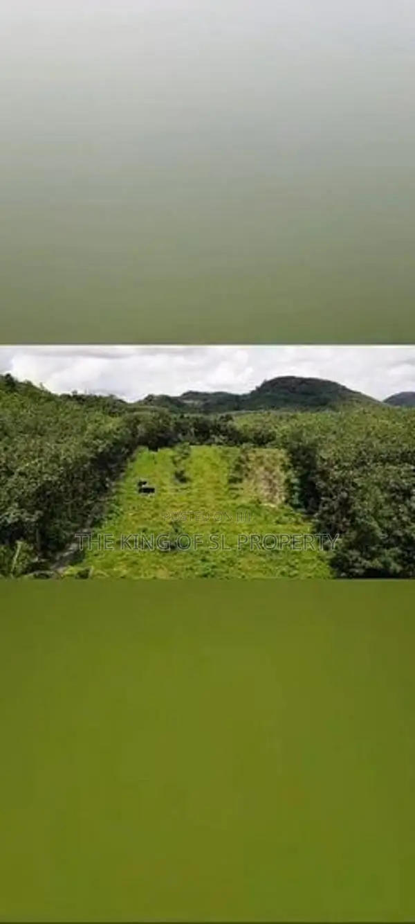 Land for sale in Horana