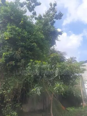 Land For Sale In Boralesgamuwa Abillawatta