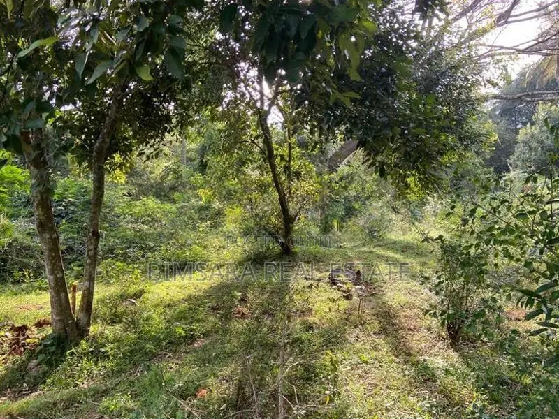 Scenic 309P Land for sale in Kundasale, Kandy (SL 13135)