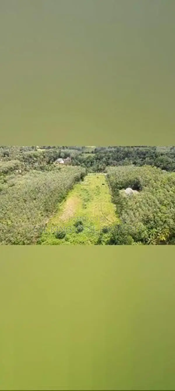 Land for sale in Horana