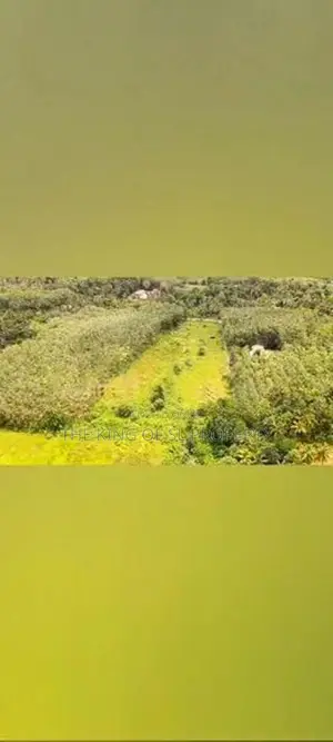 Land for sale in Horana