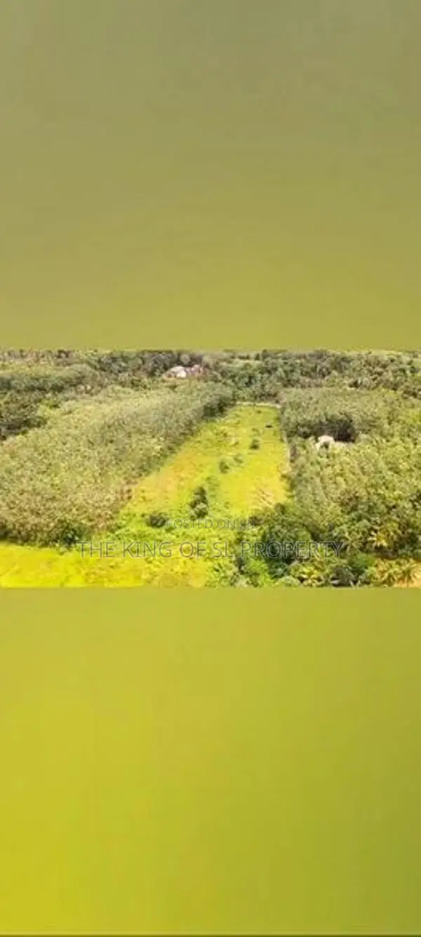Land for sale in Horana