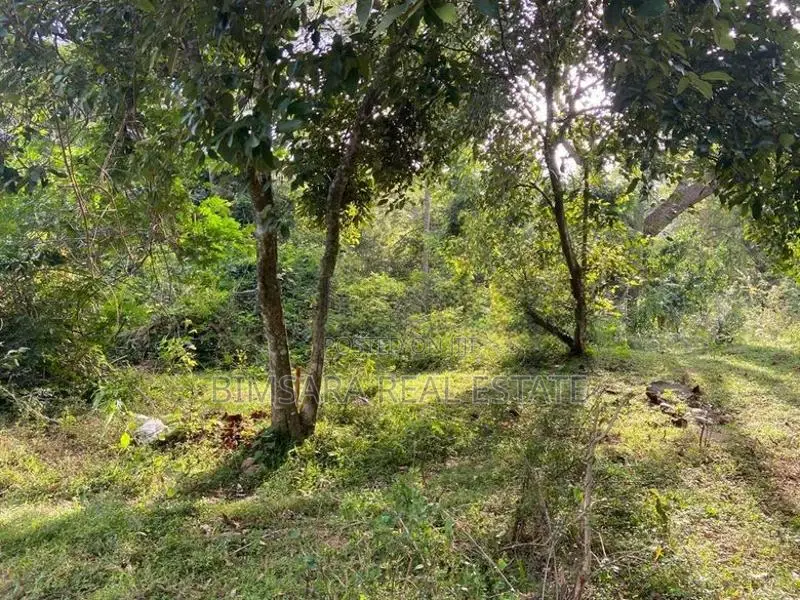 Scenic 309P Land for sale in Kundasale, Kandy (SL 13135)