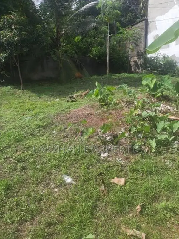 Land For Sale In Boralesgamuwa Abillawatta
