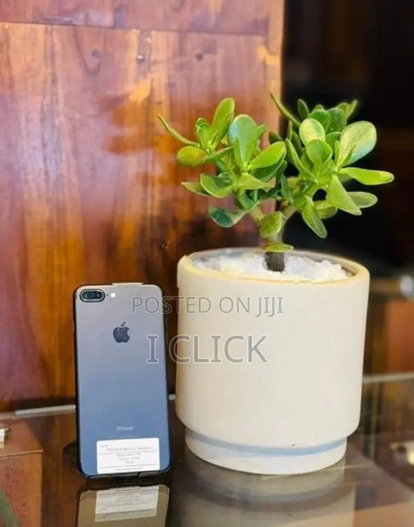 Apple iPhone 7 Plus 256GB (Used)