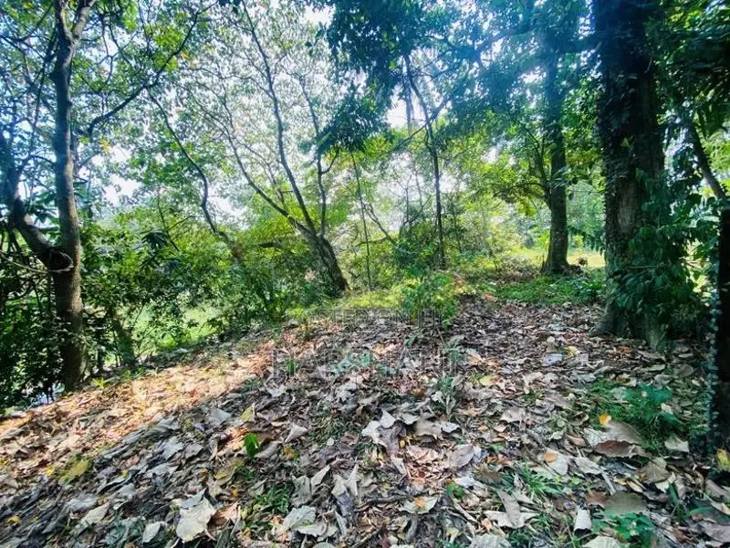 128P Superb Land Overlooking Thalangama Lake, Pelawatta, Battaramulla