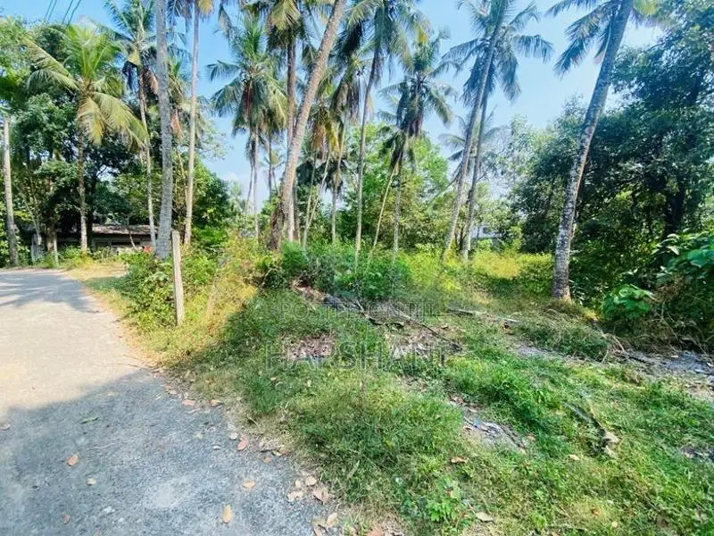 128P Superb Land Overlooking Thalangama Lake, Pelawatta, Battaramulla