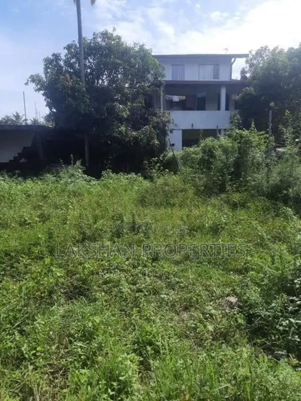 Land For Sale In Kohuwala