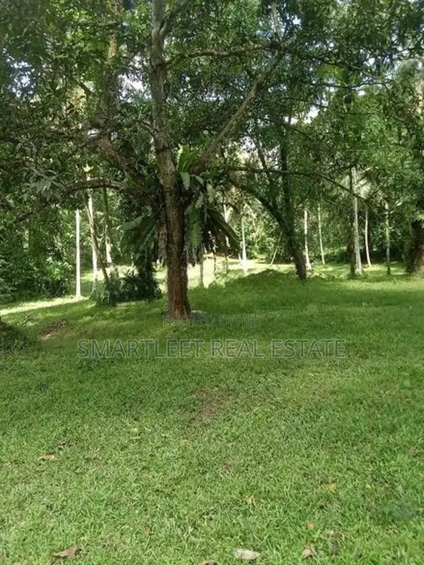 Land for Sale in Horana