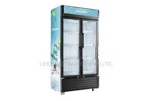 Hisense 620 Liter Double Door Bottle Cooler