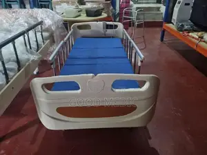 Patient four Function Electric Hospital Bed