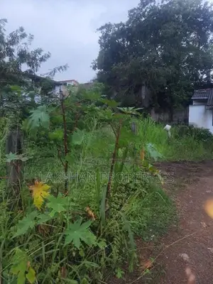Land For Sale In Boralesgamuwa Raththanapitiya