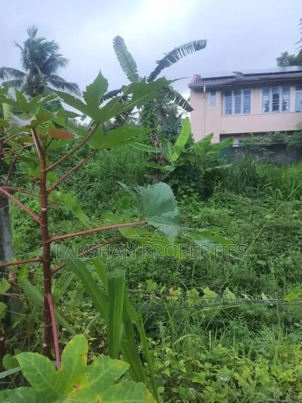 Land For Sale In Raththanapitiya