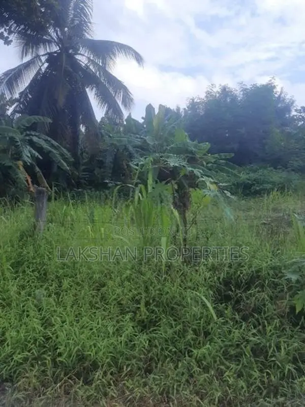Land For Sale In Raththanapitiya