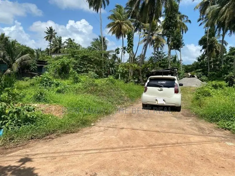 Panadura : 91 perches Land for Sale at Walana north