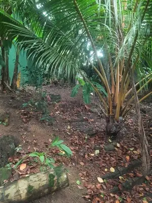 Land For Sale In Boralesgamuwa Bellanvila බෙල්ලන්විල