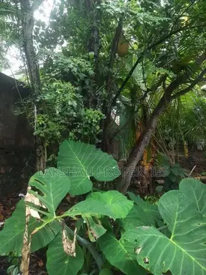 Land For Sale In Boralesgamuwa Bellanvila බෙල්ලන්විල