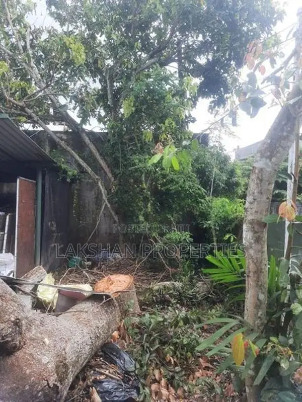 Land For Sale In Boralesgamuwa Bellanvila බෙල්ලන්විල